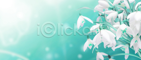 떨어짐 성장 신선 사람없음 JPG 포토 해외이미지 개화 겨울 계절 공원 꽃 꽃다발 꽃무늬 꽃잎 내추럴 머리 밭 벚꽃 보케 봄 부활절 숲 식물 신용카드 야외 잎 자연 정원 줄기 초록색 해외포토 헌병 환경