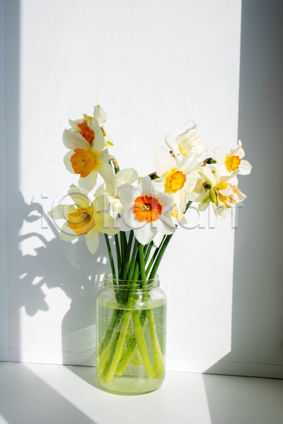 사람없음 JPG 포토 해외이미지 그림자 꽃 꽃다발 병(담는) 수선화 실내 햇빛