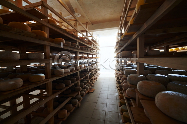 사람없음 JPG 포토 해외이미지 공장 많음 발효 선반 수납 숙성 유기농 저장 저장소 전통방식 제조 치즈
