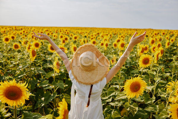 성인 성인여자한명만 여자 한명 JPG 뒷모습 포토 해외이미지 꽃밭 만세 상반신 야외 여름(계절) 주간 풍경(경치) 해바라기