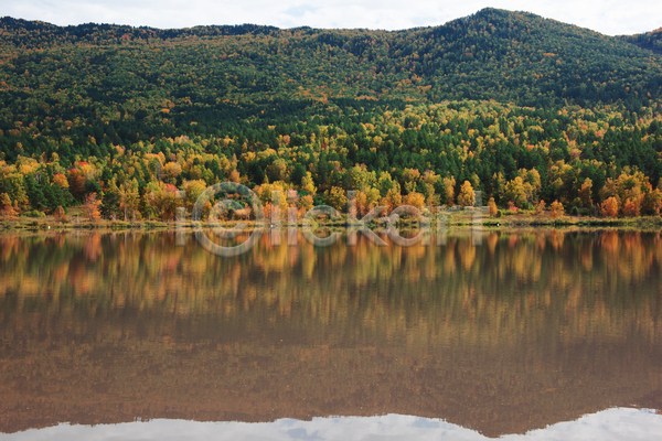 사람없음 JPG 포토 해외이미지 가을(계절) 나무 반사 숲 야외 주간 풍경(경치) 호수