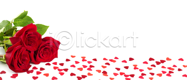 사랑 신선 축하 사람없음 JPG 포토 해외이미지 3 결혼 고립 구성 국경 그룹 꽃 꽃다발 낭만 놀람 다발 디자인 많음 모양 발렌타인데이 백그라운드 벚꽃 뷰티 빨간색 생존 선물 신용카드 인사 잎 자연 장미 장식 종이 초록색 축제 카피스페이스 컨셉 텍스트 프레임 하트 해외포토 휴가 흰색