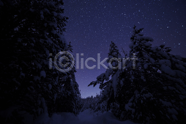 감성 분위기 사람없음 JPG 포토 해외이미지 겨울풍경 나무 눈덮임 몽환 밤하늘 별 보라색 야간 야외