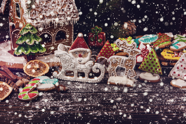 사람없음 JPG 포토 해외이미지 과자집 눈(날씨) 루돌프 산타모양 실내 쿠키 크리스마스 크리스마스트리모양쿠키