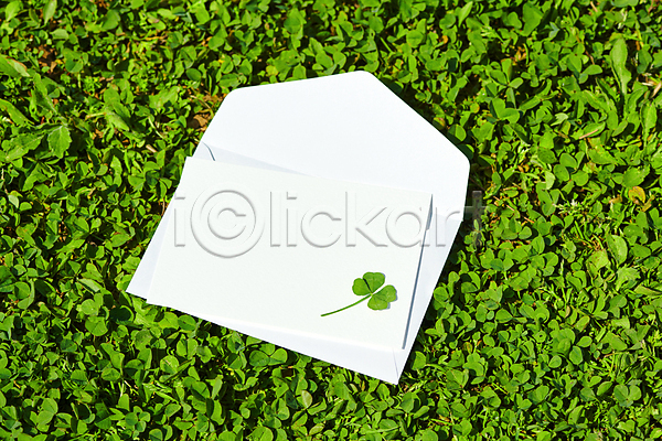 행운 사람없음 JPG 포토 네잎클로버 백그라운드 야외 자연 주간 초원(자연) 클로버 편지 편지봉투