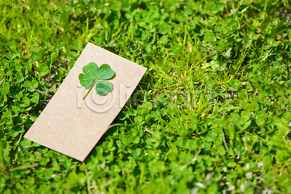 행운 사람없음 JPG 포토 네잎클로버 백그라운드 식물 야외 자연 종이 주간 초원(자연) 카드(감사) 클로버