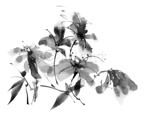 사람없음 JPG 포토 해외이미지 검은색 꽃 동양화 번짐 붓터치 수묵화 잎