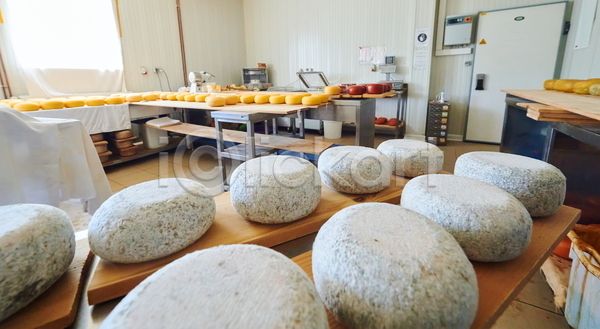 건조 사람없음 JPG 포토 해외이미지 공장 만들기 많음 유기농 전통방식 제조 치즈