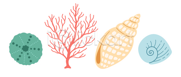 사람없음 JPG 포토 해외이미지 껍질 산호 산호초 소라 여름(계절) 조개