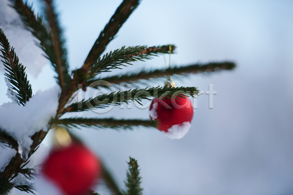 사람없음 JPG 소프트포커스 아웃포커스 포토 해외이미지 걸림 겨울 나뭇가지 눈(날씨) 매달리기 야외 오너먼트 주간 크리스마스장식