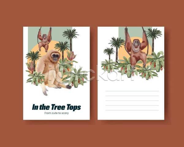 사람없음 EPS 일러스트 해외이미지 긴팔원숭이(원숭이) 덩굴 디자인 매달리기 세마리 수채화(물감) 야자수 열대잎 열매 엽서 오랑우탄 잡기 카드(감사)