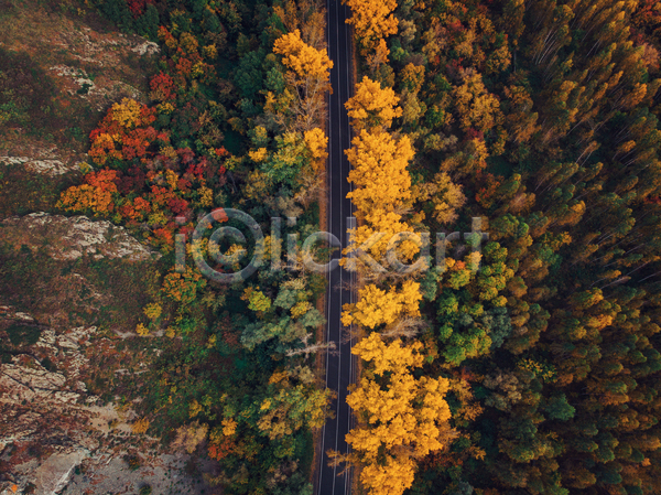 사람없음 JPG 포토 항공촬영 해외이미지 가을(계절) 고속도로 나무 루트 산 숲 여행 자연 풍경(경치)