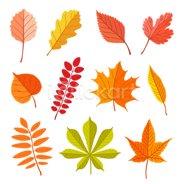 사람없음 JPG 일러스트 포토 해외이미지 가을(계절) 나뭇잎 낙엽 다양 단풍 디자인 수집 엘리먼트 잎