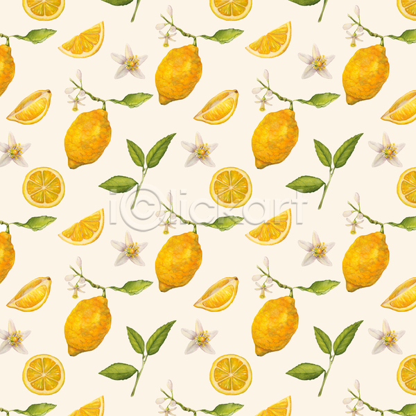 사람없음 JPG 일러스트 해외이미지 그림 꽃 노란색 단면 레몬 백그라운드 수채화(물감) 잎 패턴