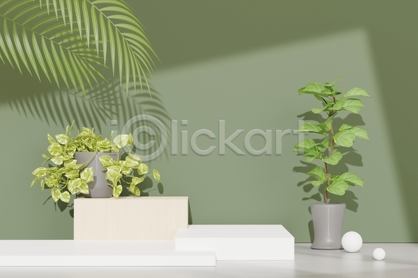 사람없음 3D JPG 포토 해외이미지 그림자 단상 디자인 무대 백그라운드 세트 식물 오브젝트 원형 장식 초록색 추상 컨셉 포디움 화분 흰색