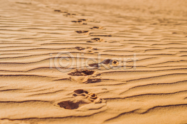 사람없음 JPG 포토 해외이미지 갈색 모래 발자국 백그라운드 사막 야외 주간 풍경(경치)