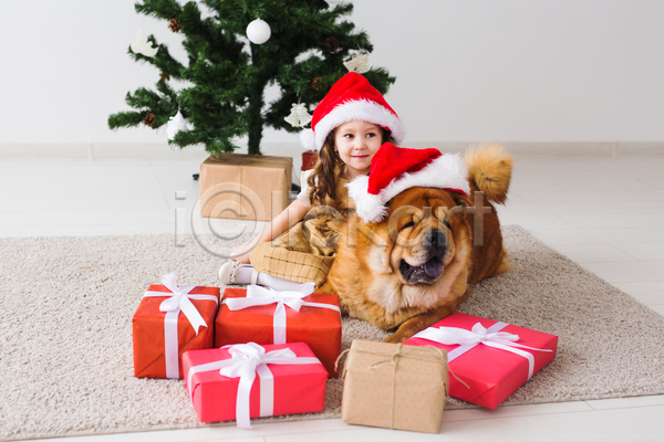 추위 소녀(어린이) 소녀한명만 여자 JPG 포토 해외이미지 강아지 겨울 보케 산타모자 상반신 선물상자 차우차우 카펫 크리스마스 크리스마스트리