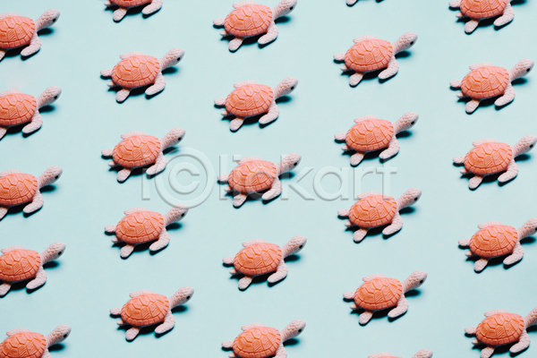 사람없음 JPG 포토 해외이미지 거북이 백그라운드 분홍색 인형 패턴 패턴백그라운드 하늘색