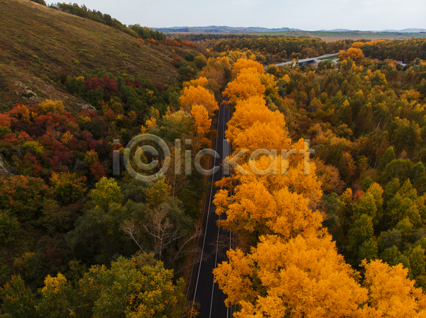 사람없음 JPG 포토 하이앵글 항공촬영 해외이미지 가을(계절) 고속도로 길 나무 내추럴 도로 산 숲 은행나무 조감도 풍경(경치)