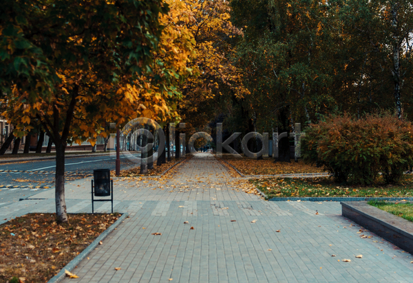 사람없음 JPG 포토 해외이미지 가을(계절) 공원 나무 네덜란드 도로 숲 야외 유럽 주간 풍경(경치)
