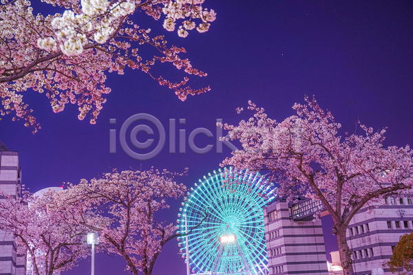 사람없음 JPG 포토 해외이미지 대관람차 벚꽃 벚나무 봄 봄꽃 야간 야외 요코하마 일본 풍경(경치)