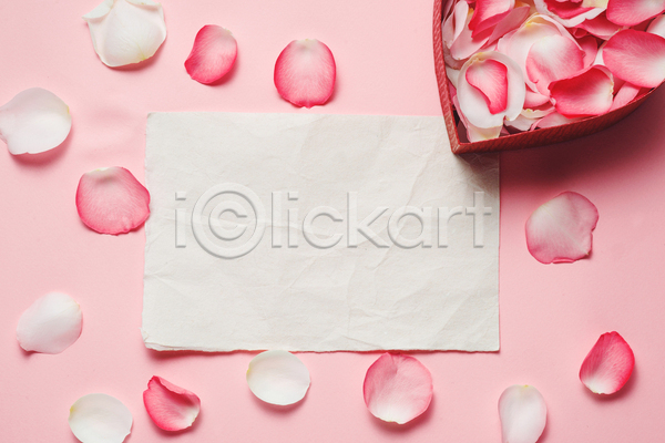 사람없음 JPG 포토 하이앵글 해외이미지 꽃 꽃잎 분홍색 세계여성의날 스튜디오촬영 어머니의날 장미 프레임