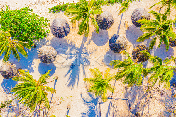 사람없음 JPG 포토 하이앵글 해외이미지 그림자 모래사장 선베드 야외 야자수 주간 파라솔 풍경(경치)
