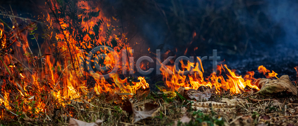 위험 사람없음 JPG 포토 해외이미지 나무 불 불꽃(불) 산 산불 숲 야외