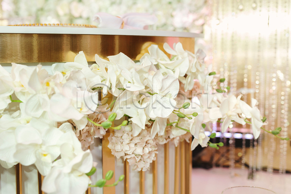 축하 사람없음 JPG 포토 해외이미지 결혼 결혼식 기념 꽃 꽃다발 디자인 이벤트 장미 장식 탁자 파티