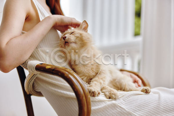 귀여움 여유 함께함 휴식 성인 성인여자한명만 여자 한명 JPG 아웃포커스 옆모습 포토 해외이미지 고양이 반려동물 반려묘 상반신 실내 쓰다듬기 앉기 의자 한마리
