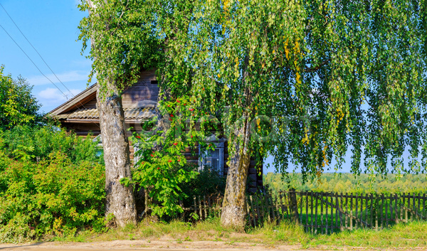 사람없음 JPG 포토 해외이미지 나무 러시아 시골 야외 주간 주택 풍경(경치)