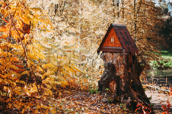 사람없음 JPG 포토 해외이미지 가을(계절) 공원 나무 둥지 숲 야외 잎 자연 주택