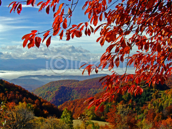 사람없음 JPG 포토 해외이미지 가을(계절) 가을풍경 구름(자연) 낙엽 단풍 단풍나무 산 야외 자연 주간 풍경(경치) 하늘