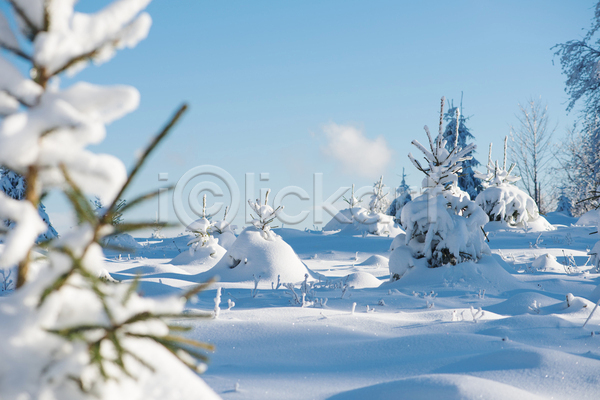 사람없음 JPG 소프트포커스 포토 해외이미지 겨울 겨울풍경 나무 눈(날씨) 눈덮임 설원 야외 주간 하늘