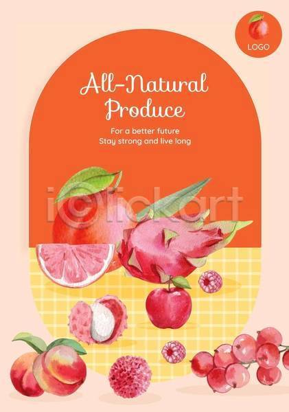 사람없음 EPS 일러스트 해외이미지 과일 리치 복숭아 빨간색 사과 산딸기 수채화(물감) 열매 용과 자두 자몽 주황색 포스터