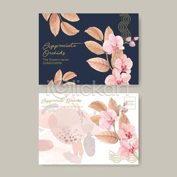 사람없음 EPS 일러스트 해외이미지 꽃 꽃봉오리 남색 디자인 분홍색 수채화(물감) 엽서 잎 카드(감사)
