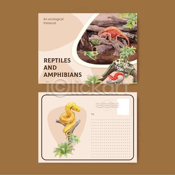 사람없음 EPS 일러스트 해외이미지 개구리 나뭇가지 도마뱀 리플렛 뱀 베이지색 세트 수채화(물감) 엽서 카드(감사) 풀(식물)
