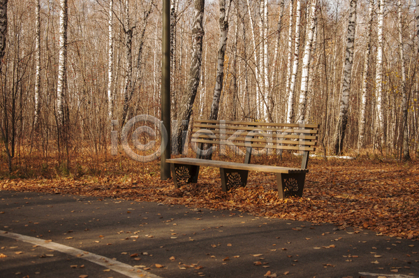 사람없음 JPG 포토 해외이미지 가을(계절) 공원 나무 낙엽 러시아 벤치 숲 야외 주간 풍경(경치)