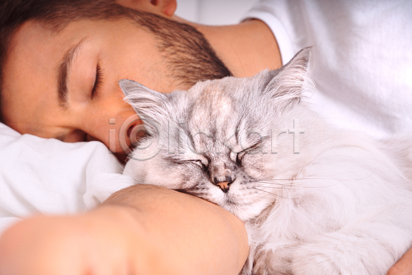 귀여움 남자 성인 성인남자한명만 한명 JPG 앞모습 포토 해외이미지 고양이 기댐 눈감음 눕기 반려묘 상반신 실내 잠 한마리