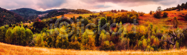 사람없음 JPG 포토 해외이미지 가을 건물 골동품 그런지 농가 농업 농촌 루마니아 밭 버리기 손상 수확 시골 시골집 썩음 여행 옛날 오두막 오싹 외관 자연 주택 파노라마 파멸 판잣집 폐허 풍경 해외포토