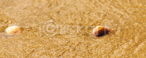 특별함 휴식 사람없음 JPG 포토 해외이미지 거품 껍질 내추럴 디자인 맑음 모래 물 바다 백그라운드 뷰티 섬 소라 야외 여름 여행 이국적 전원 조개 질감 카피스페이스 태양 파도 파라다이스 파란색 패턴 풍경 해변 해외포토 햇빛 황금 휴가 휴양지