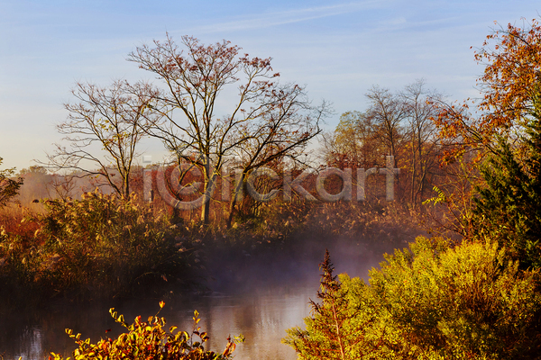 사람없음 JPG 포토 해외이미지 가을(계절) 강 나무 아침 야외 잎 자연 풍경(경치) 하늘