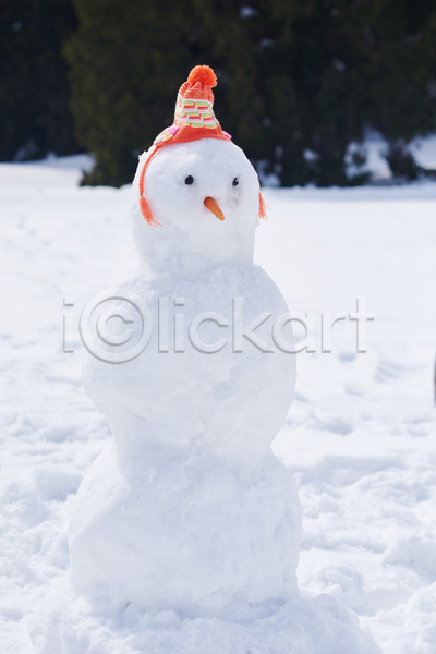 추위 사람없음 JPG 포토 해외이미지 겨울 눈(날씨) 눈사람 당근 모자(잡화) 설원