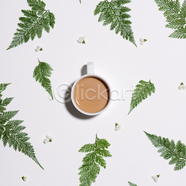 티타임 사람없음 JPG 포토 하이앵글 해외이미지 꽃 나뭇잎 실내 커피 커피잔 흰배경
