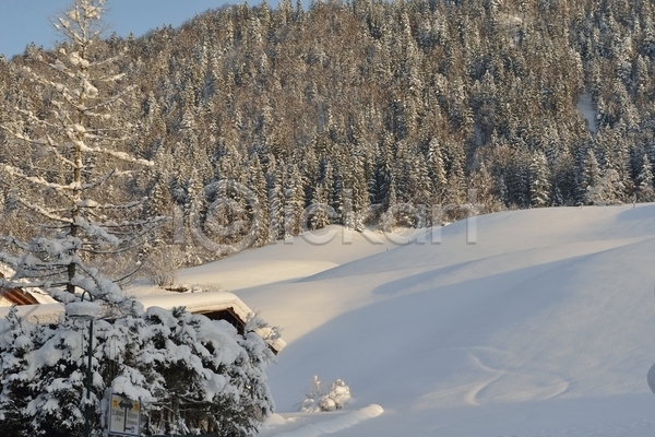 사람없음 JPG 포토 해외이미지 겨울 겨울풍경 나무 눈(날씨) 눈덮임 설산 설원 야외 주간