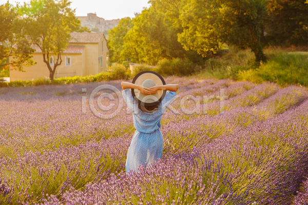 성인 성인여자한명만 여자 한명 JPG 뒷모습 포토 해외이미지 나무 라벤더 보라색 상반신 손들기 손짓 야외 여름(계절) 주간 주택 프랑스 프로방스