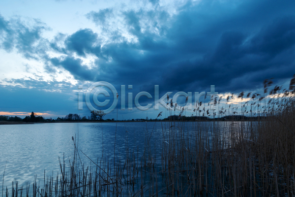 사람없음 JPG 포토 해외이미지 갈대(식물) 구름(자연) 새벽 야외 어둠 자연 풍경(경치) 하늘 호수