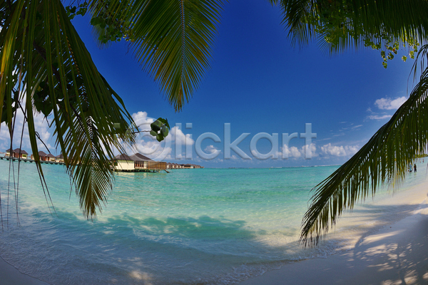 사람없음 JPG 포토 해외이미지 구름(자연) 그림자 수상가옥 야외 야자수잎 주간 주택 풍경(경치) 하늘 해변