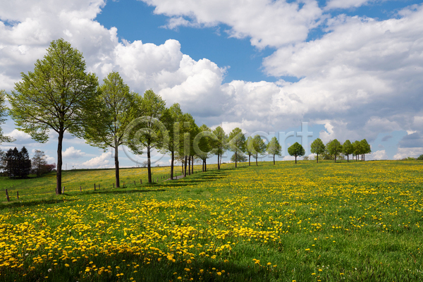 사람없음 JPG 포토 해외이미지 구름(자연) 나무 봄 야외 자연 주간 초원(자연) 풍경(경치) 하늘