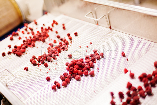 사람없음 JPG 소프트포커스 아웃포커스 포토 해외이미지 공장 기계 냉동 냉동식품 분류 산딸기 식품공장 일렬 제조
